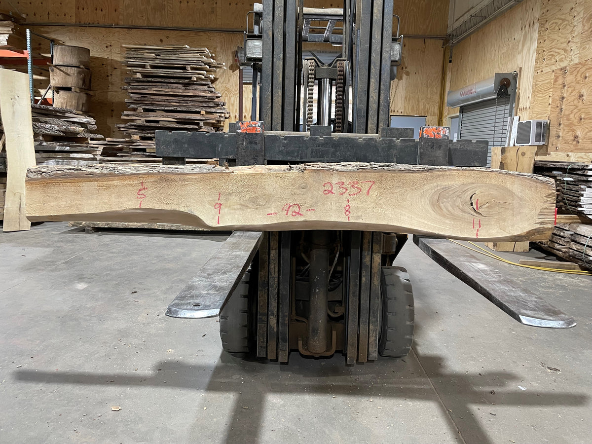 American Elm (2337)  92” L x 5-11” W x 1.5” T