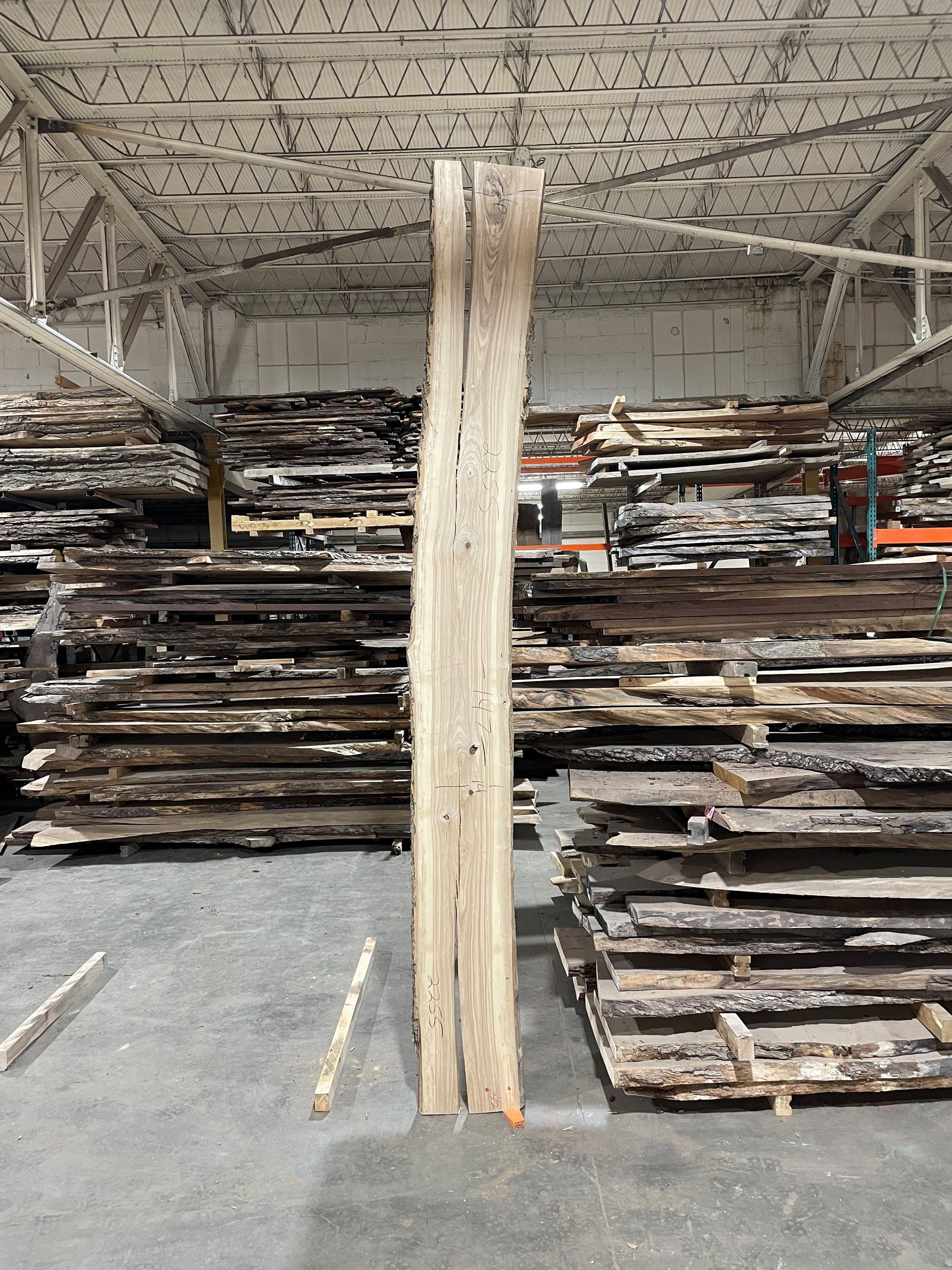 Ash (2255) 147” L x 14-16” W x 2” T