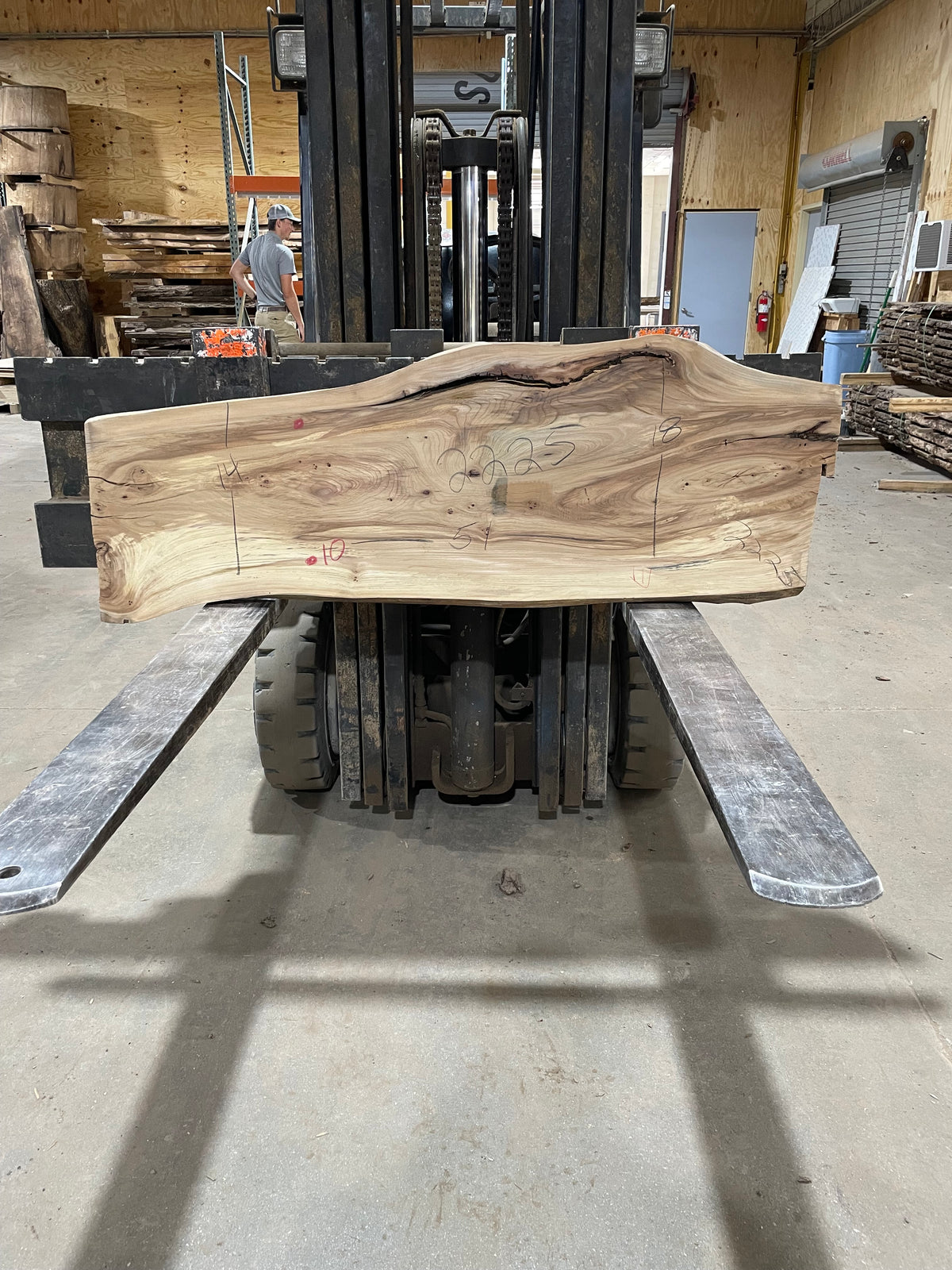 ELM (2225) 51” L X 14-18” W X 2” T