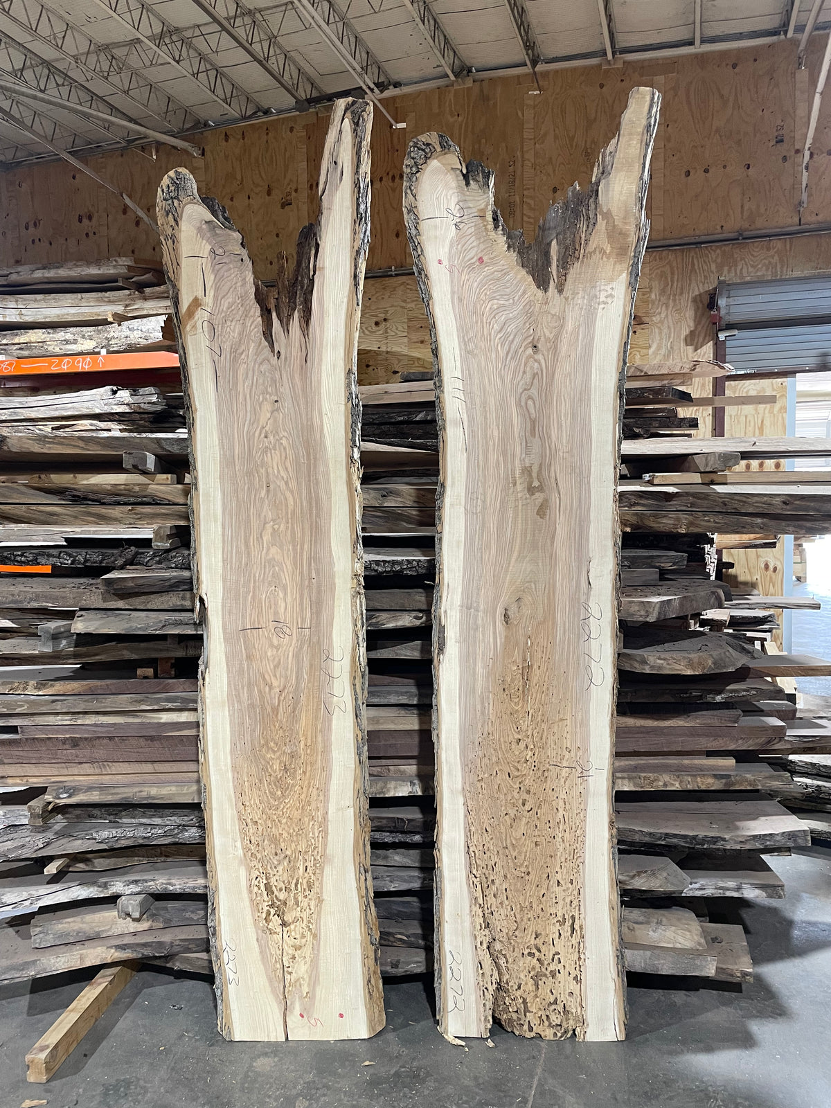 Ash Bookmatch (2272) &amp; (2273) 111” L x 18-26” W x 2” T