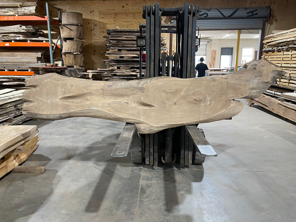 SIBERIAN ELM (2190) 105” L X 17-20” W X 2.5” T