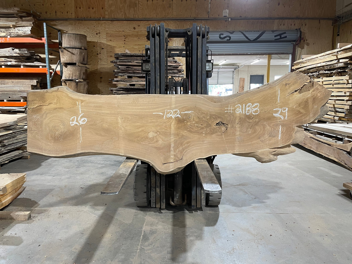 SIBERIAN ELM (2188) 122” L X 26-29” W X 2.5” T