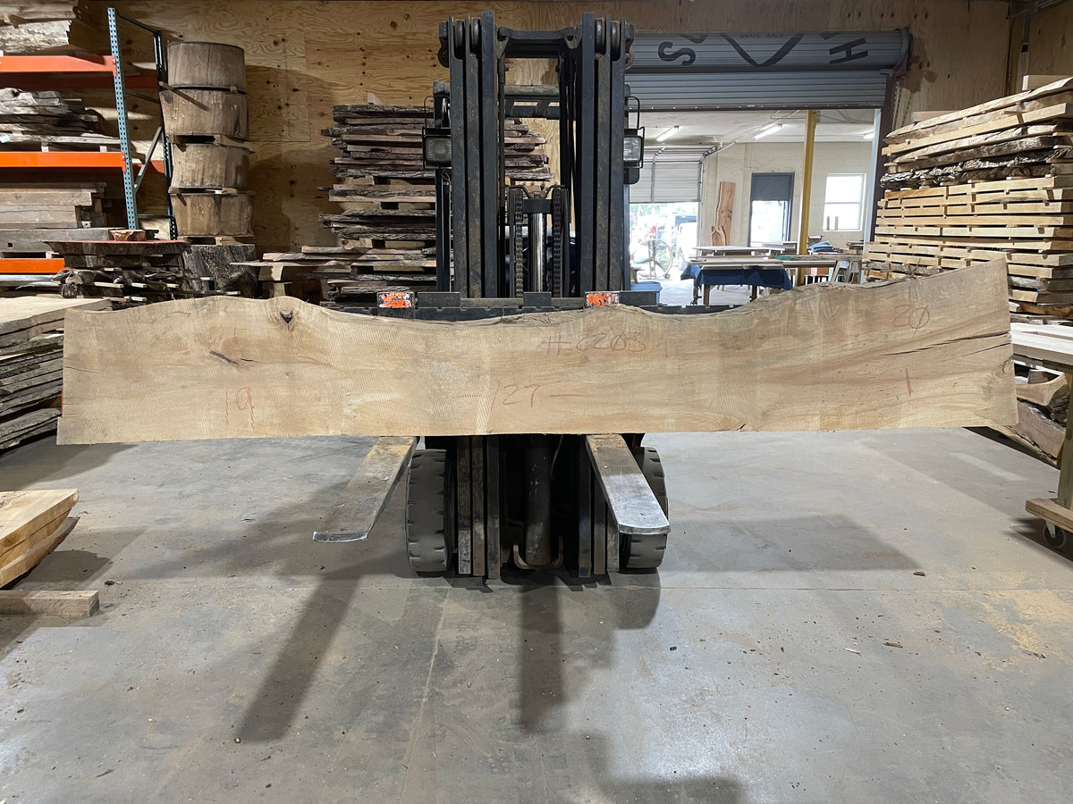Poplar (2203) 127&quot; L x 19-20&quot; W x 2.5&quot; T