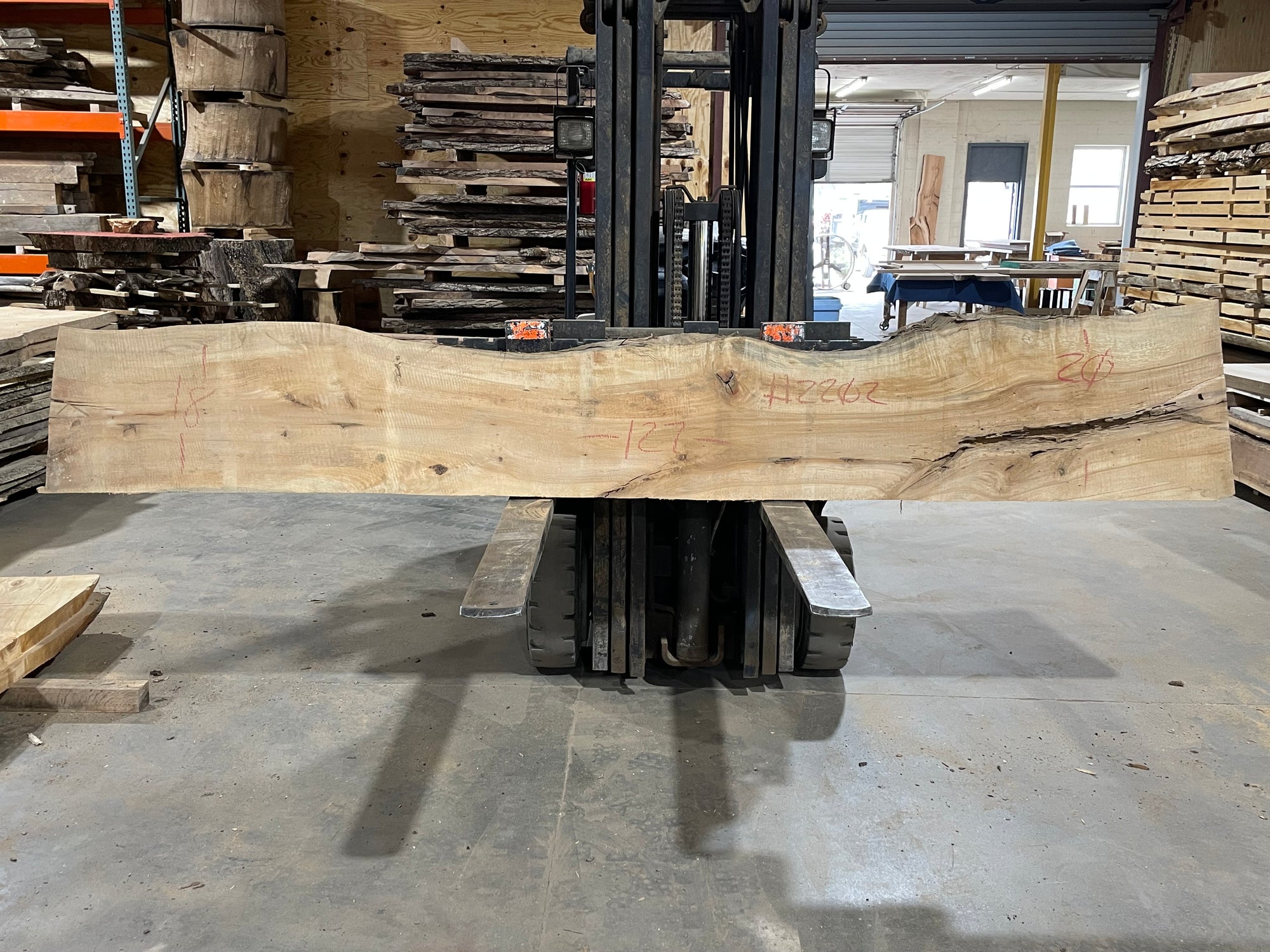 Poplar (2202) 127" L x 18-20" W x 2.5" T
