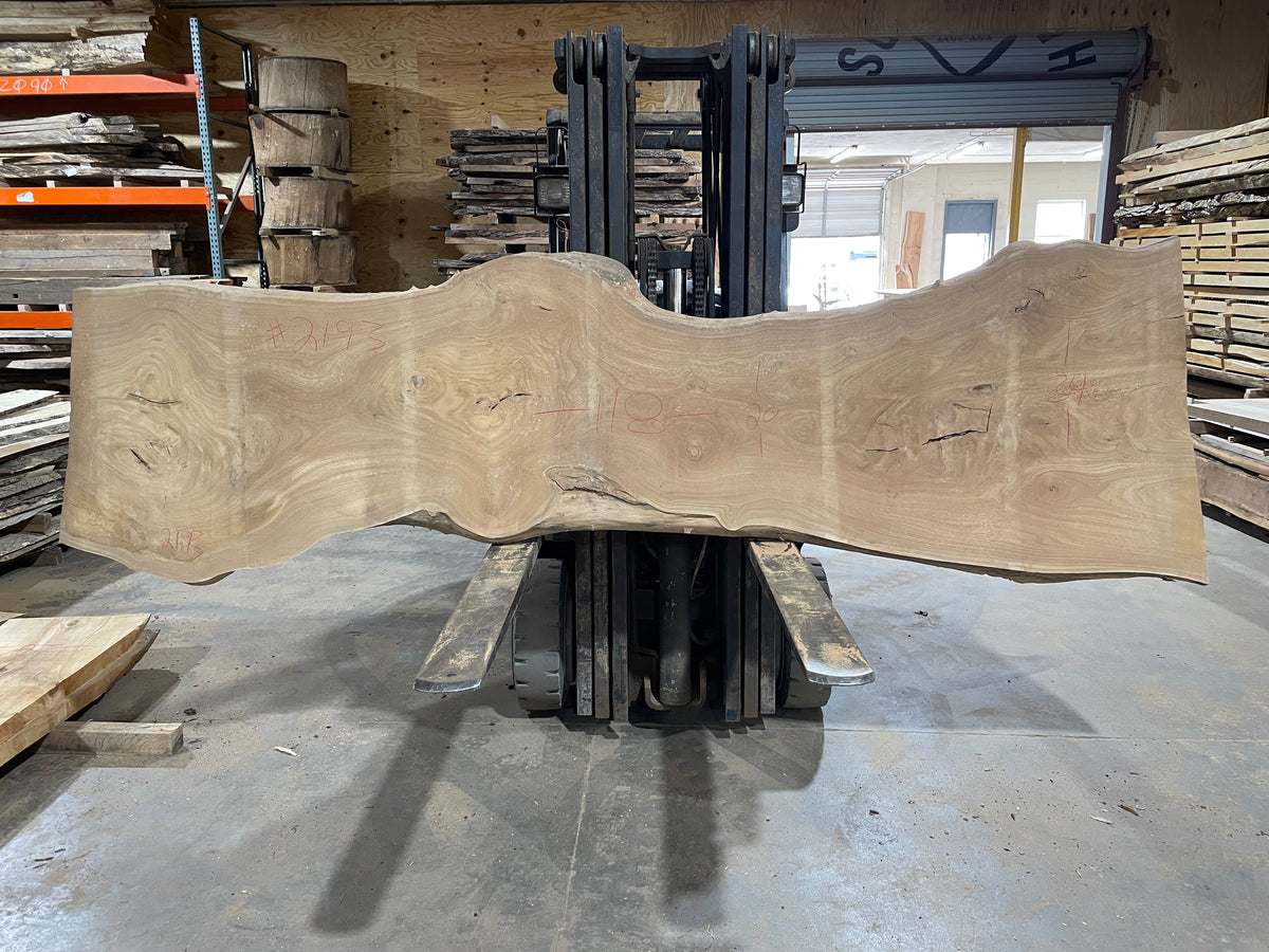 SIBERIAN ELM (2193) 118” L X 20-34” W X 2.5” T