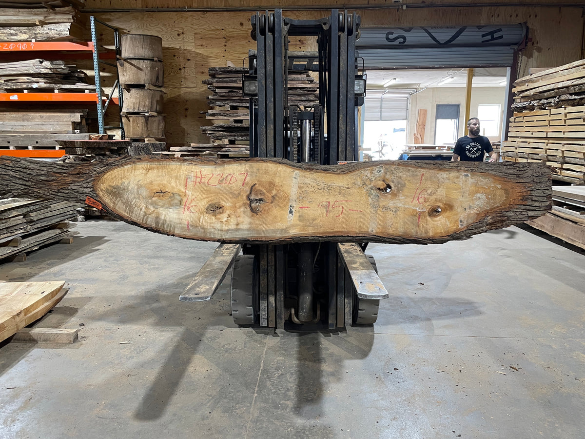 Poplar (2207) 95&quot; L x 16&quot; W x 2.5&quot; T