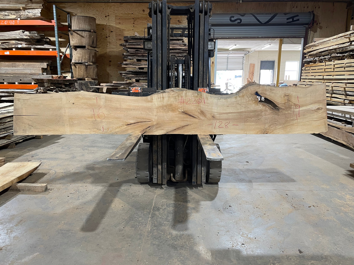 Poplar (2201) 128&quot; L x 16-19&quot; W x 2.5&quot; T