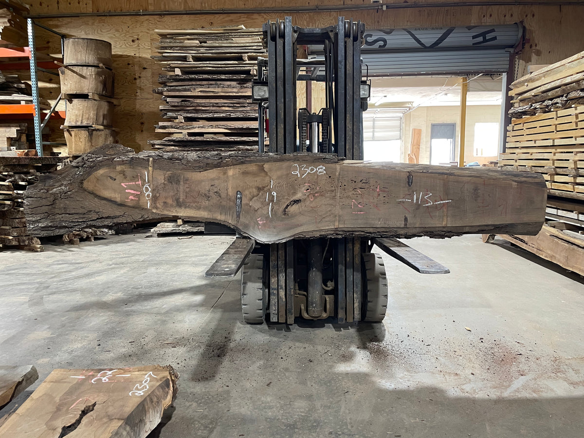 Black Walnut (2308) 113” L x 8-19” W x 3” T