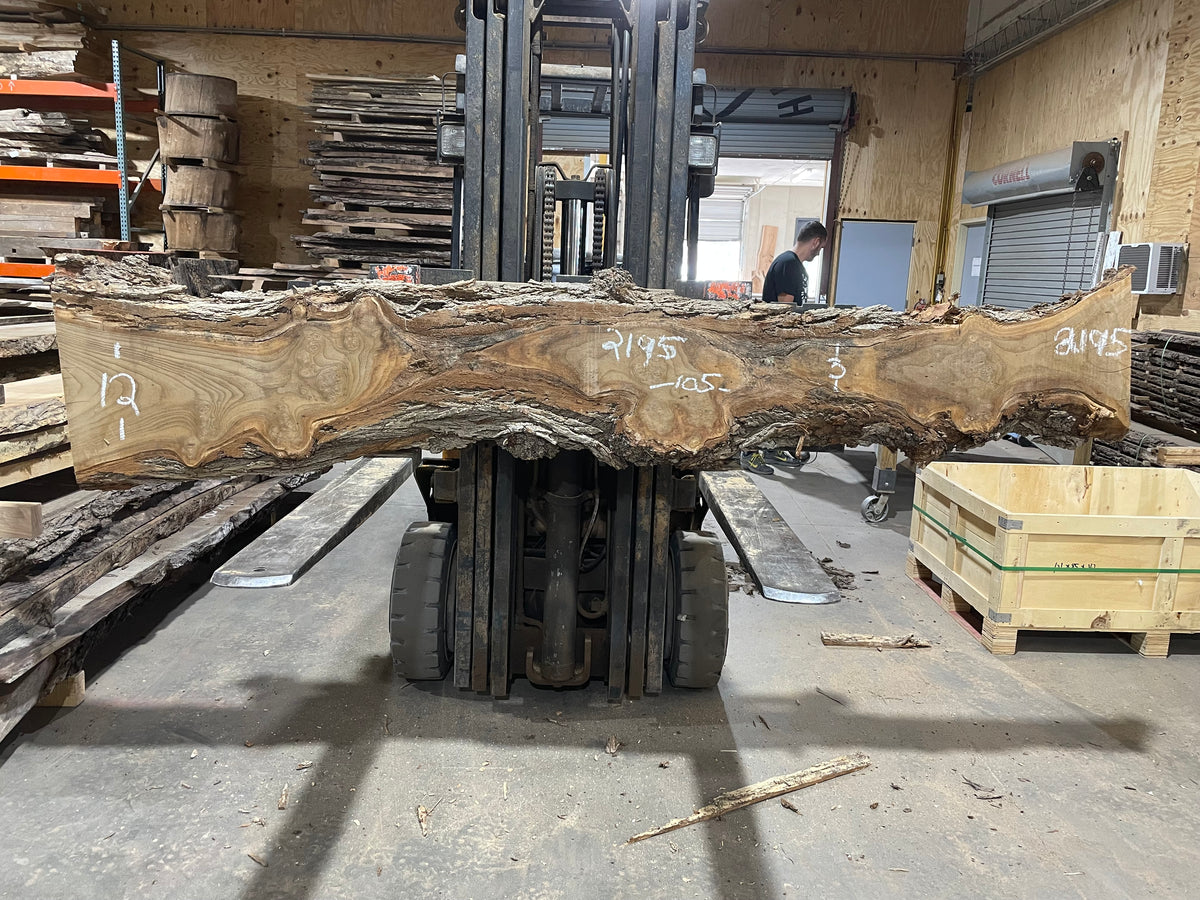 SIBERIAN ELM (2195) 105” L X 3-12” W X 2.5” T