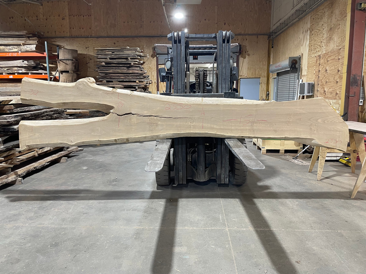 SIBERIAN ELM (2350) 151” L X 14-23” W X 2.5” T