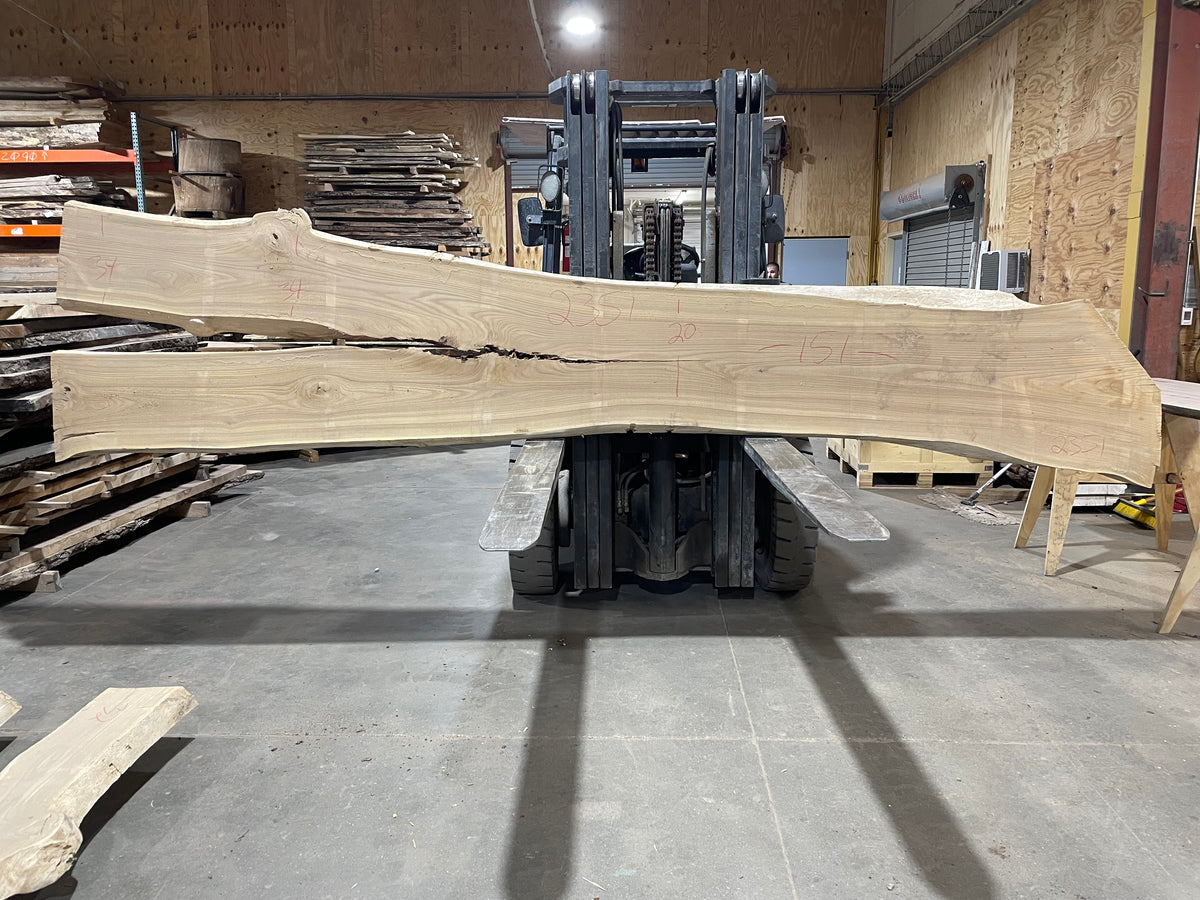 SIBERIAN ELM (2351) 151” L X 20-34” W X 2.5” T