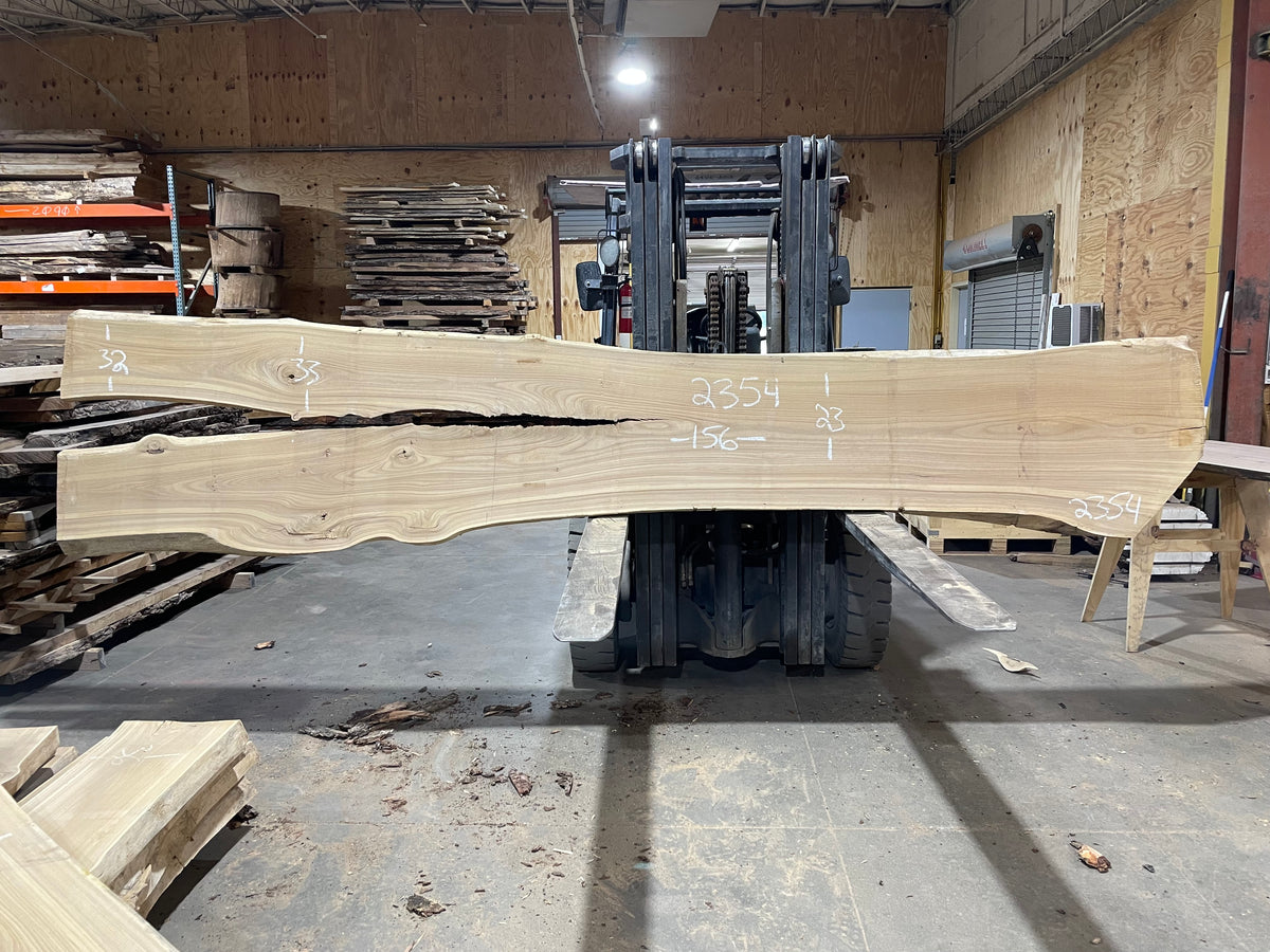 SIBERIAN ELM (2354) 156” L X 23-32” W X 2.5” T