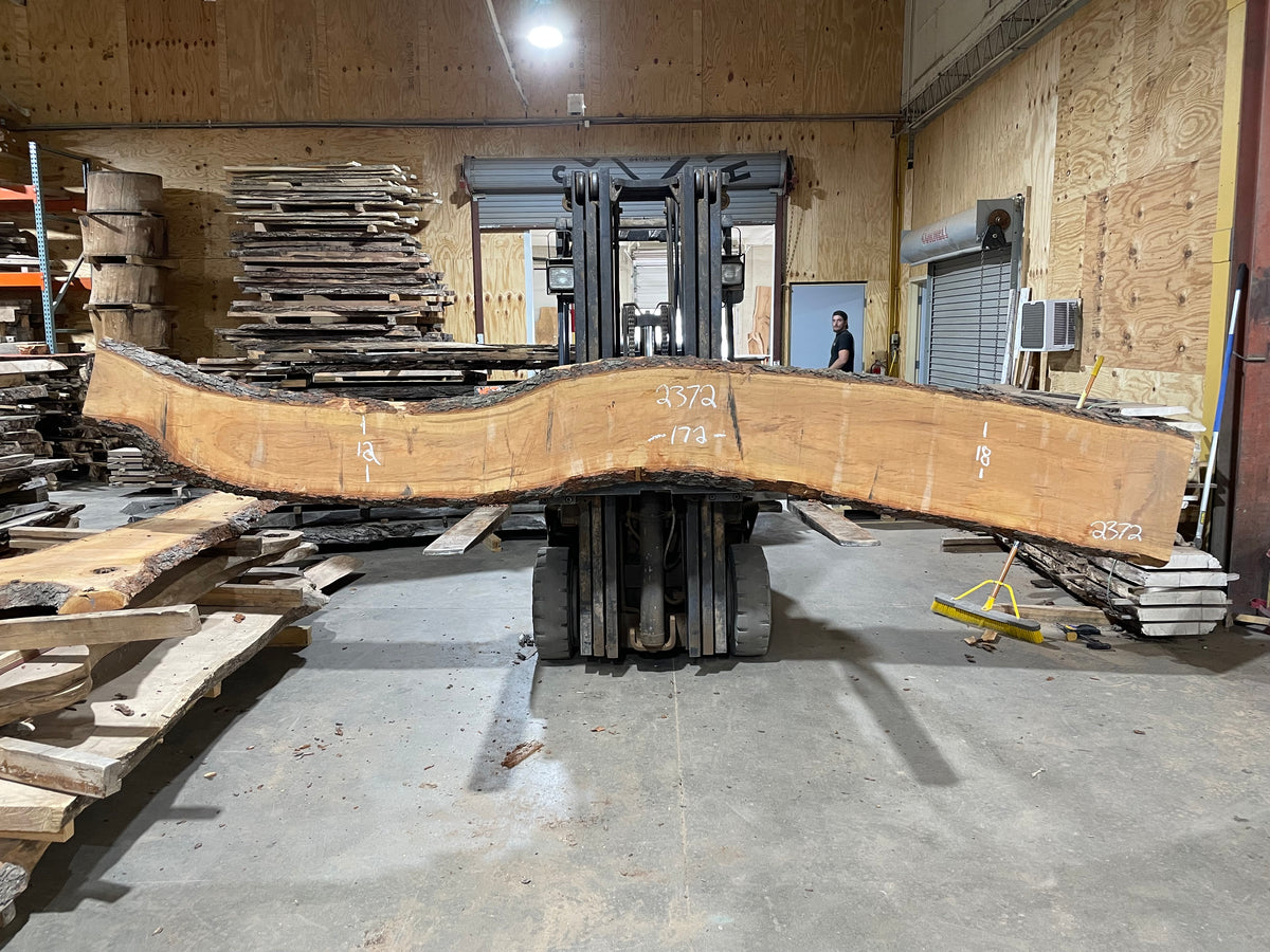 Cherry (2372) 172” L x 12-18&quot; W x 2.5” T