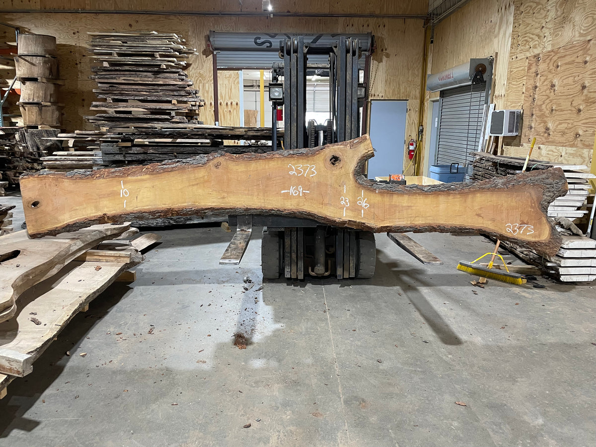 Cherry (2373) 169” L x 10-26&quot; W x 2.5” T