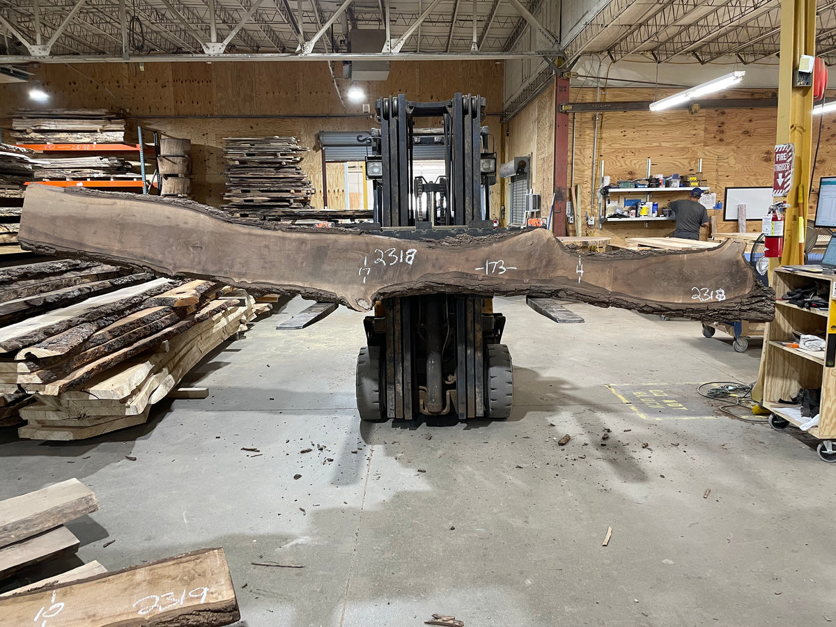 Walnut (2318) 173” L x 4-17” W x 2&quot;