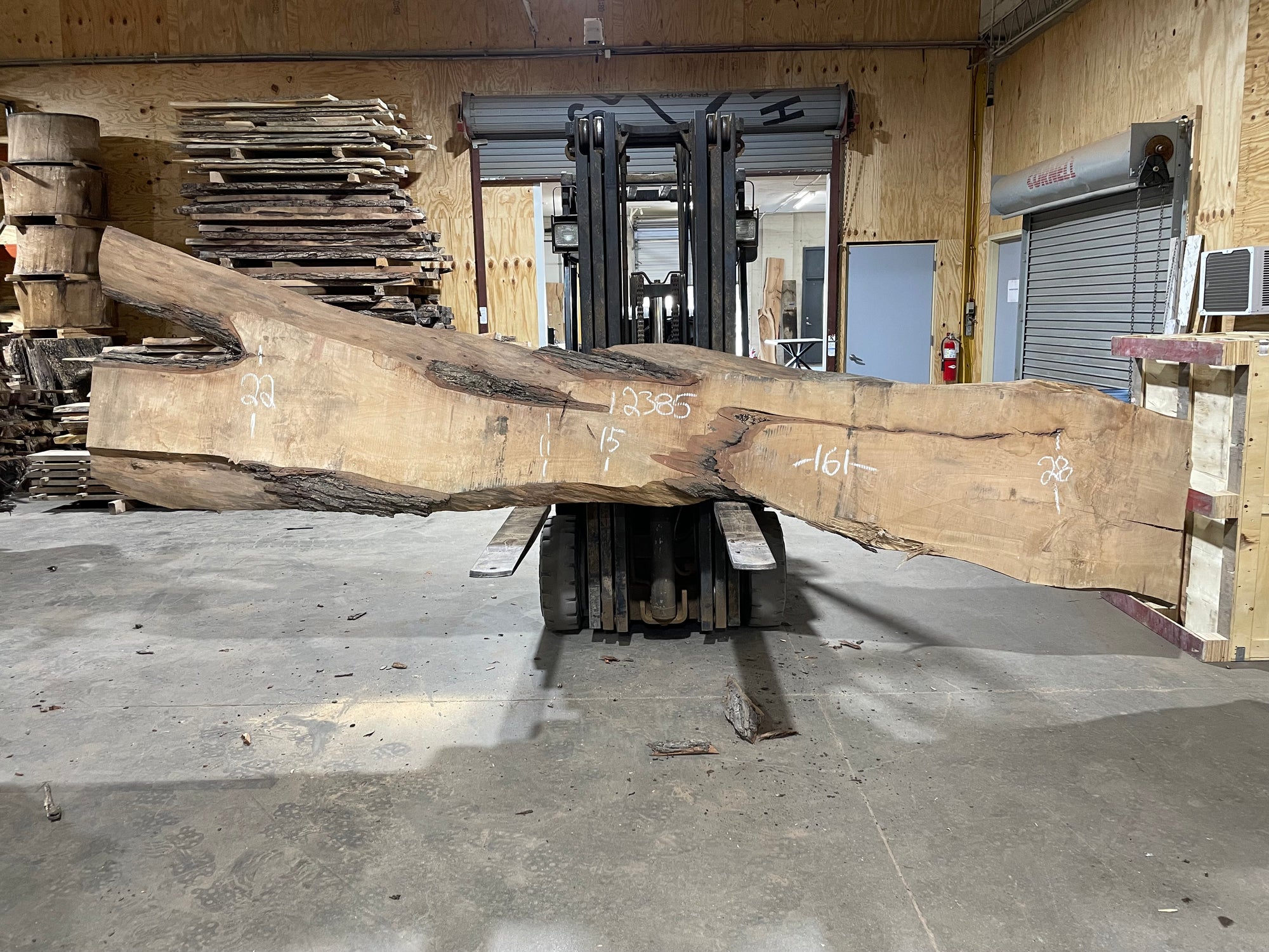 Maple (2385) 161” L x 11-28” W x 3” T