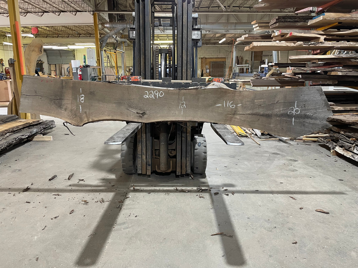 Walnut (2290) 116” L x 12-20” W x 2&quot;
