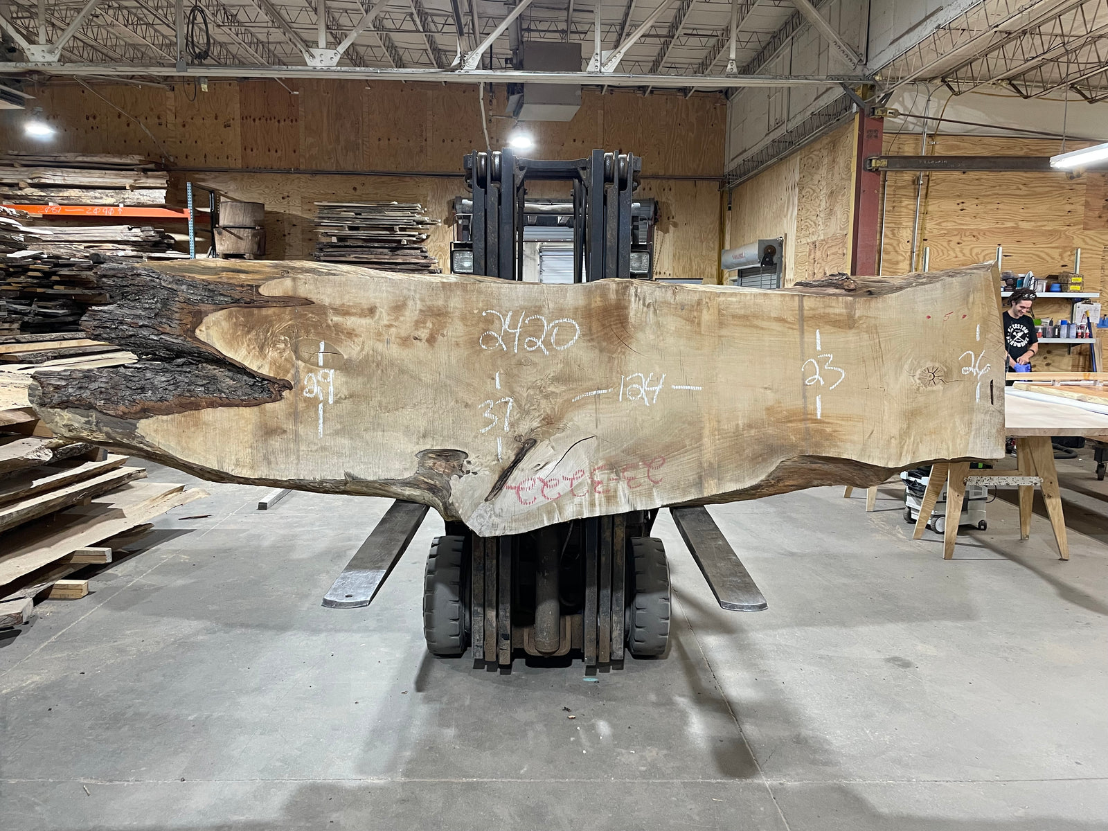 Maple (2420) 124" L x 23-37" W x 3" T