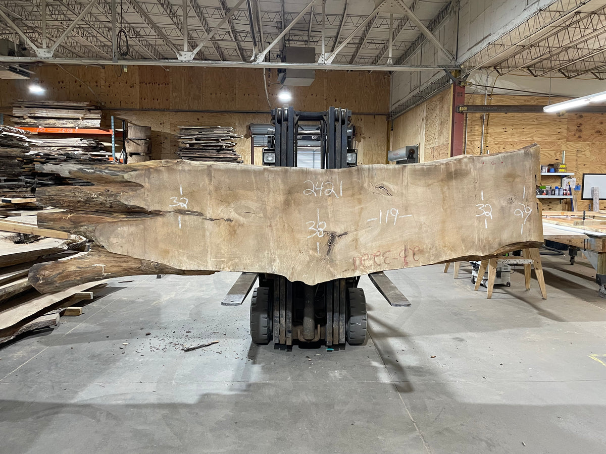 Maple (2421) 119&quot; L x 29-38&quot; W x 3&quot; T