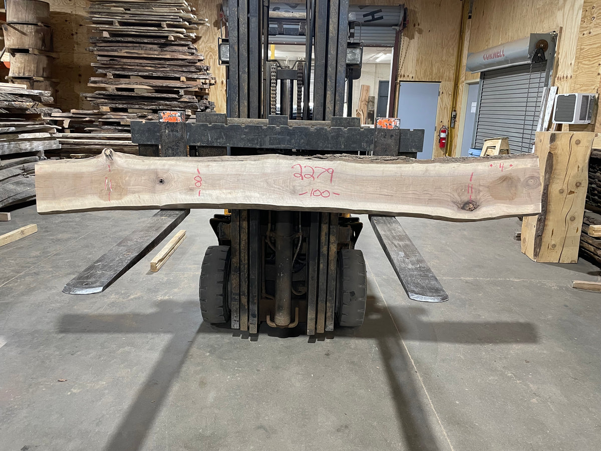 Walnut (2279) 100” L x 8-11” W x 2&quot;