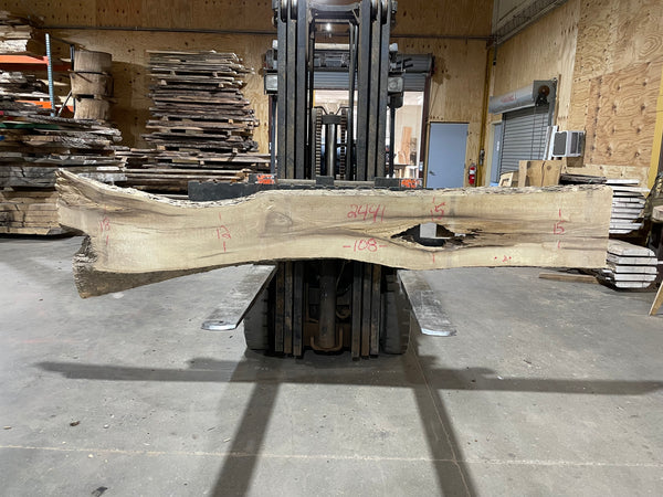 Hackberry Rough Cut Hackberry (2441) 108” L x 12-18” W x 2.5” T - KC Custom Hardwoods