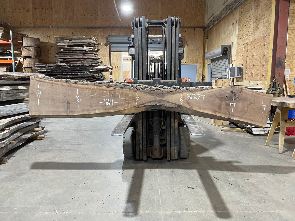 Walnut (2277) 124” L x 6-19” W x 2.5&quot;
