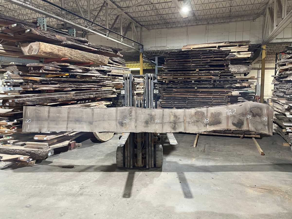 BLACK WALNUT (3669) 203” L x 16-21” W x 3” T