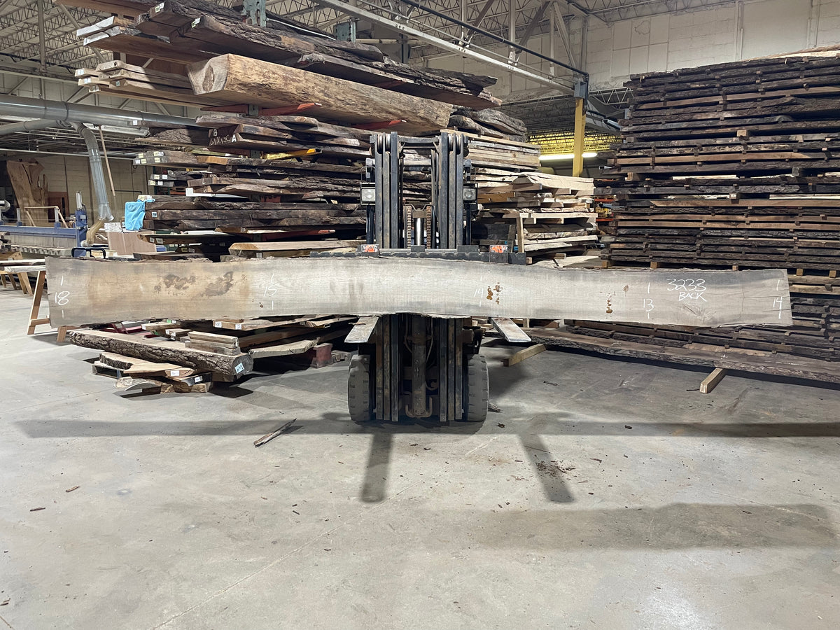 Pecan - (3233) 197&quot; L x 11-14&quot; W x 3 T