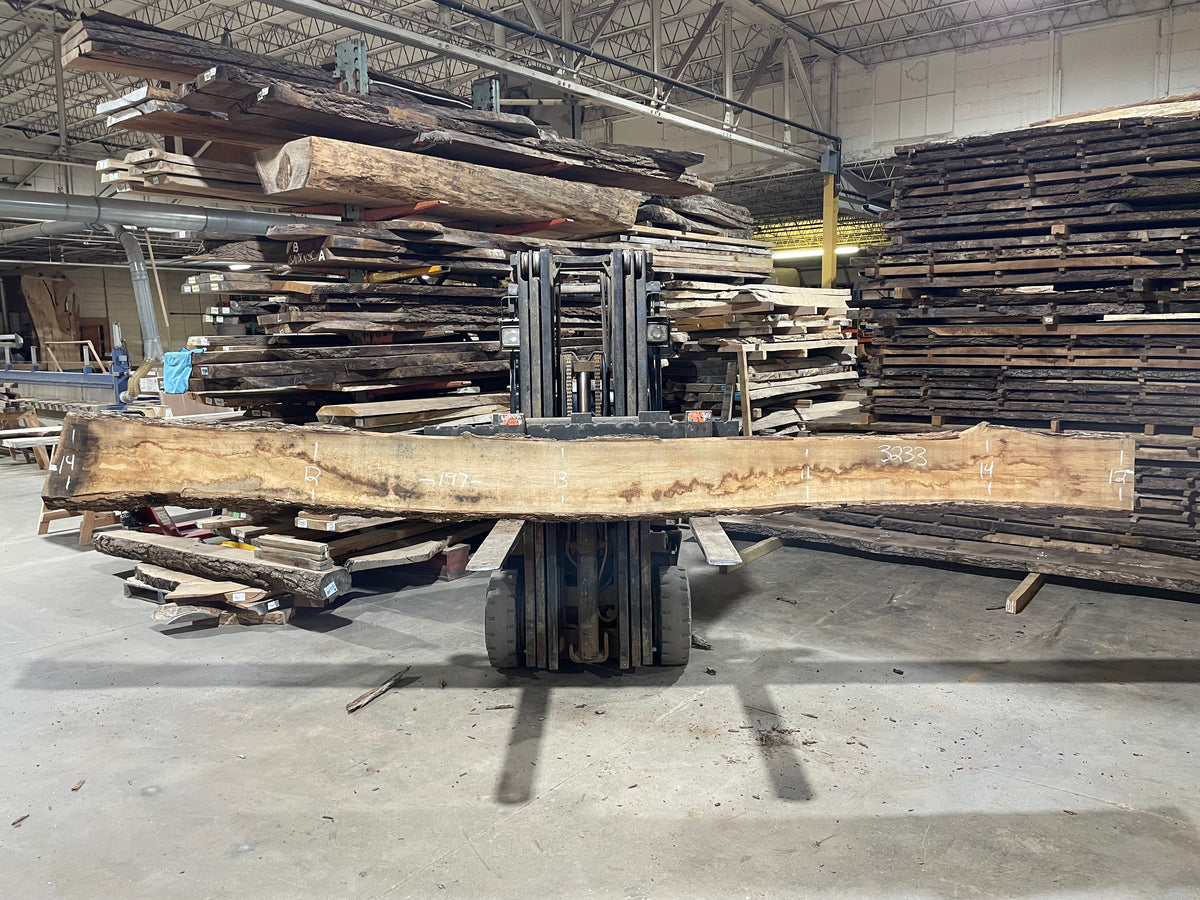 Pecan - (3233) 197&quot; L x 11-14&quot; W x 3 T