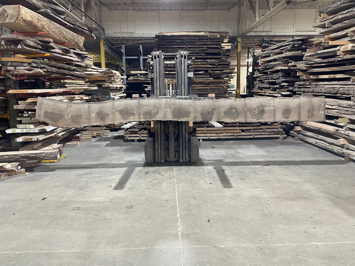 BLACK WALNUT (3672) 202” L x 7-13” W x 3” T