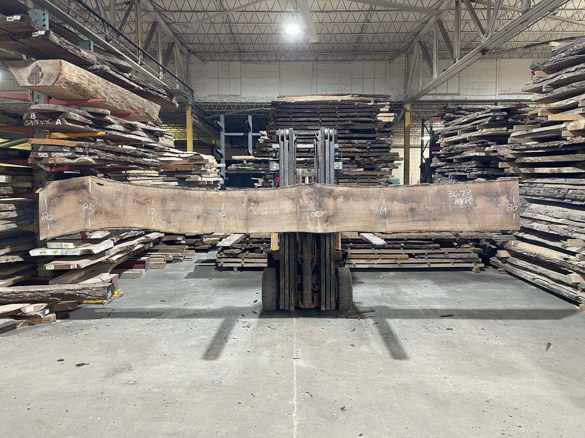 BLACK WALNUT (3673) 203” L x 16-24” W x 3” T