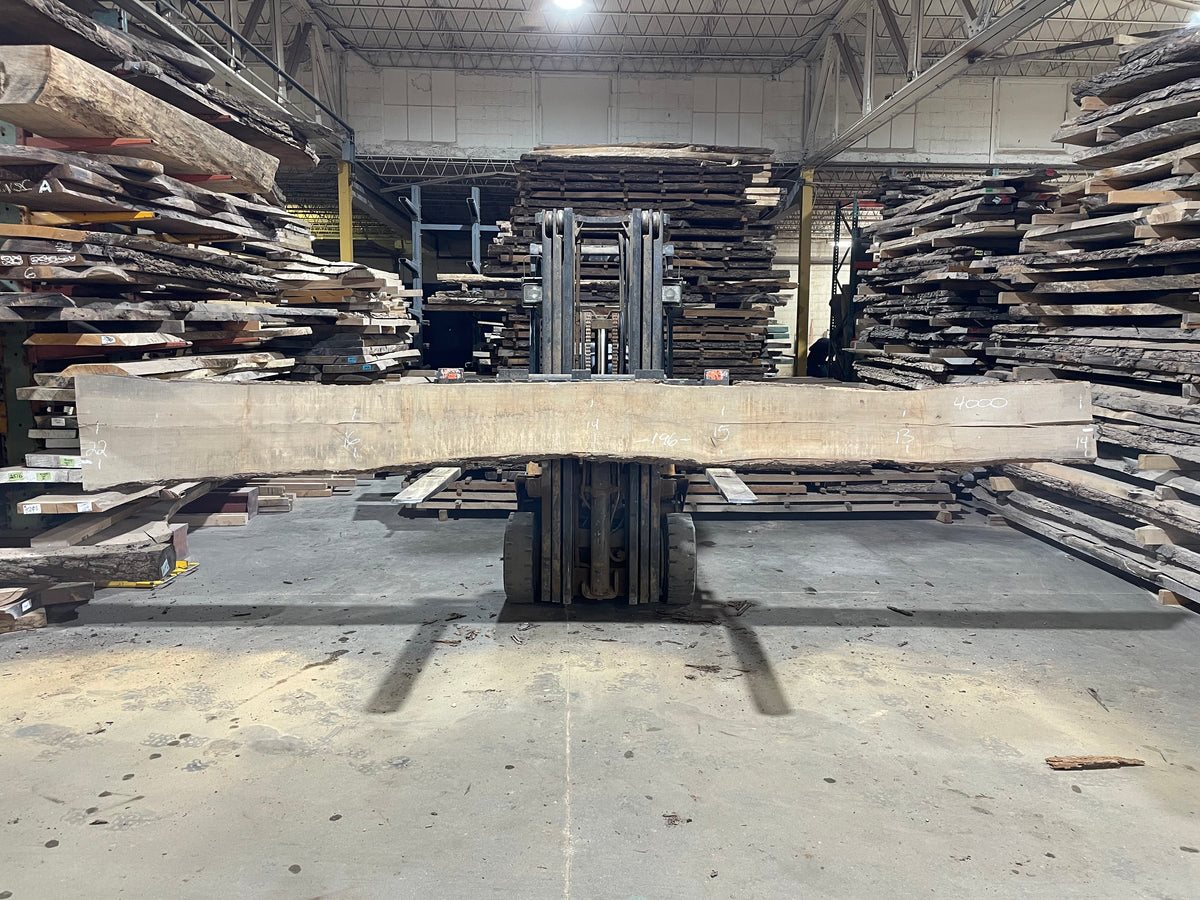 Pecan - (4000) 196&quot; L x 13-22&quot; W x 2 T