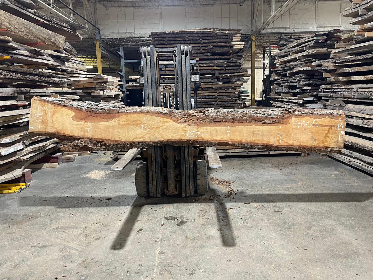 Pecan - (4005) 157&quot; L x 7-15&quot; W x 2.5 T