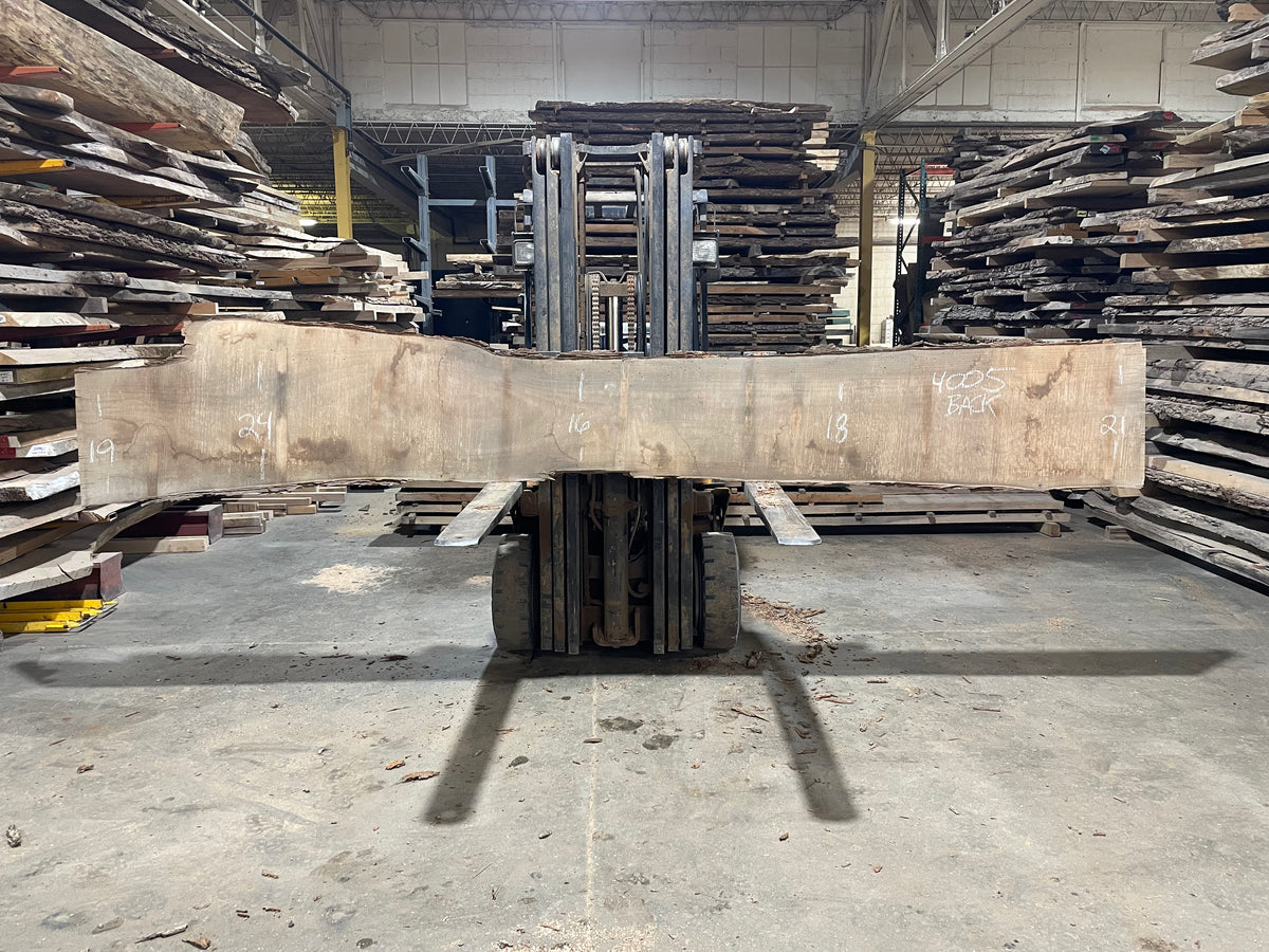 Pecan - (4005) 157&quot; L x 7-15&quot; W x 2.5 T