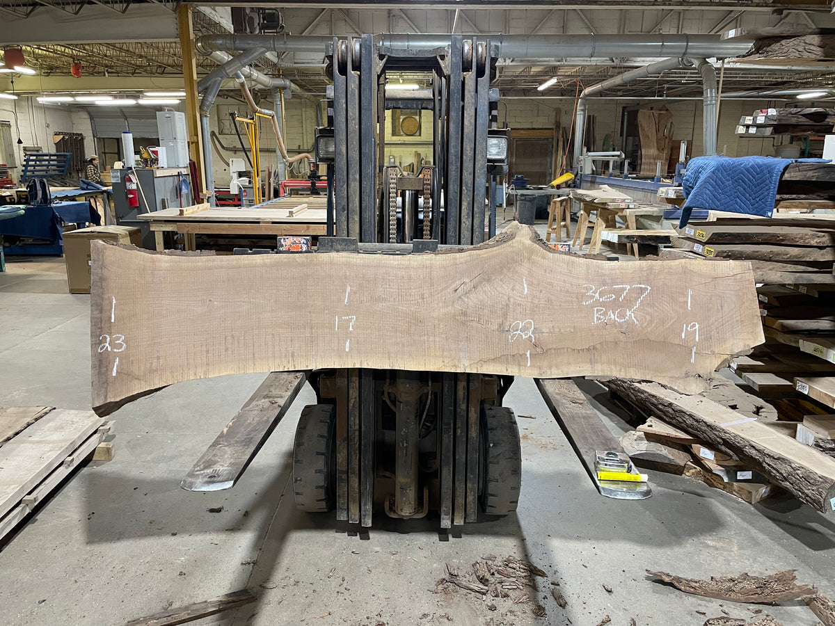 BLACK WALNUT (3677) 97” L x 14"-26” W x 2.5” T