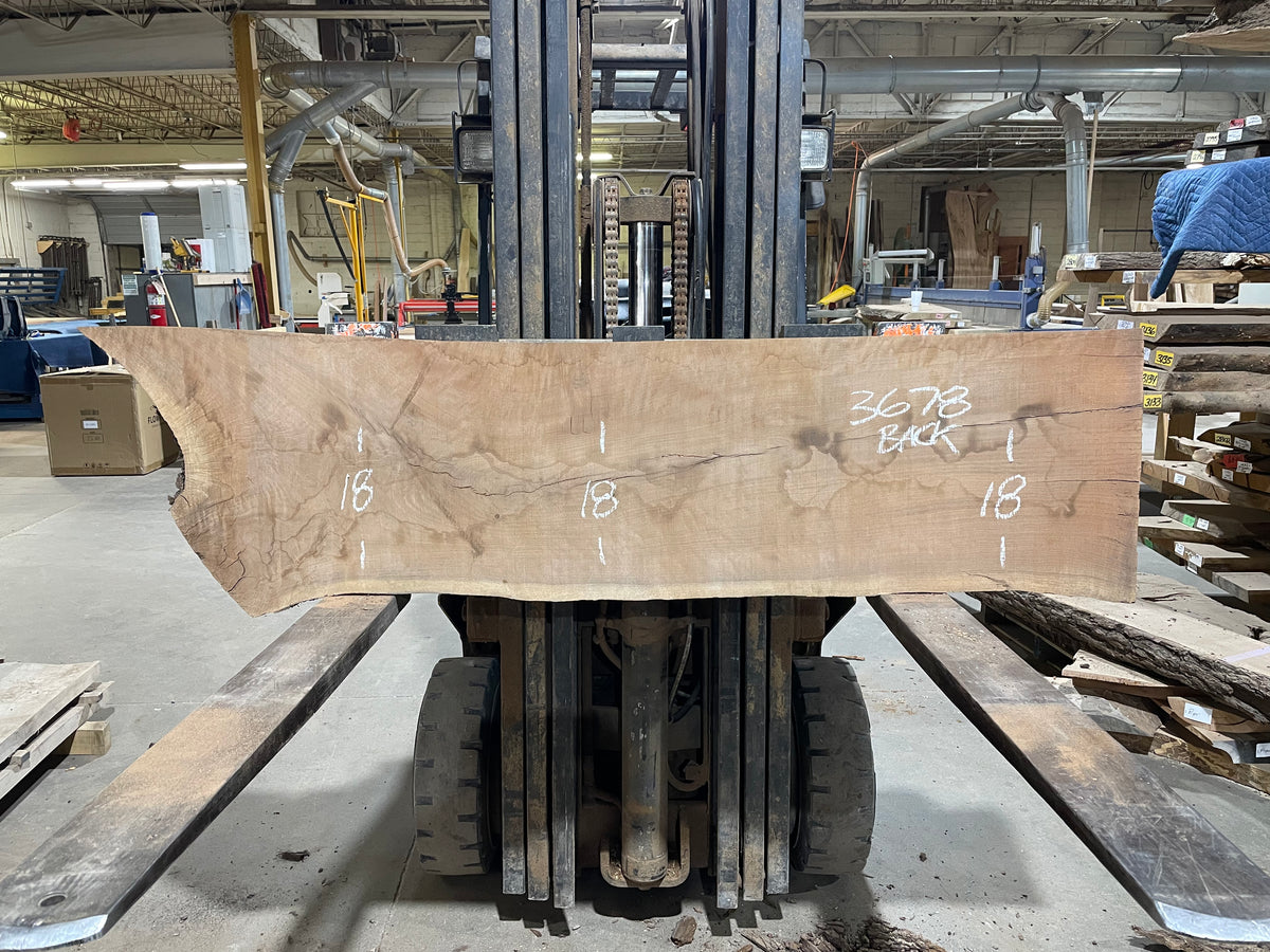 BLACK WALNUT (3678) 68” L x 16"-18” W x 2.25” T