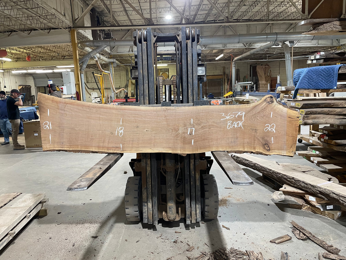 BLACK WALNUT (3679) 97” L x 15&quot;-18” W x 2.5” T