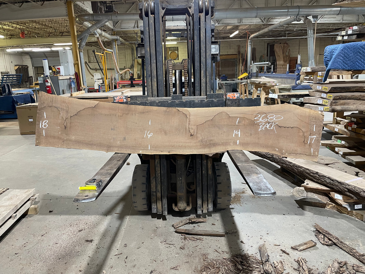 BLACK WALNUT (3680) 97” L x 13&quot;-15” W x 2.5” T