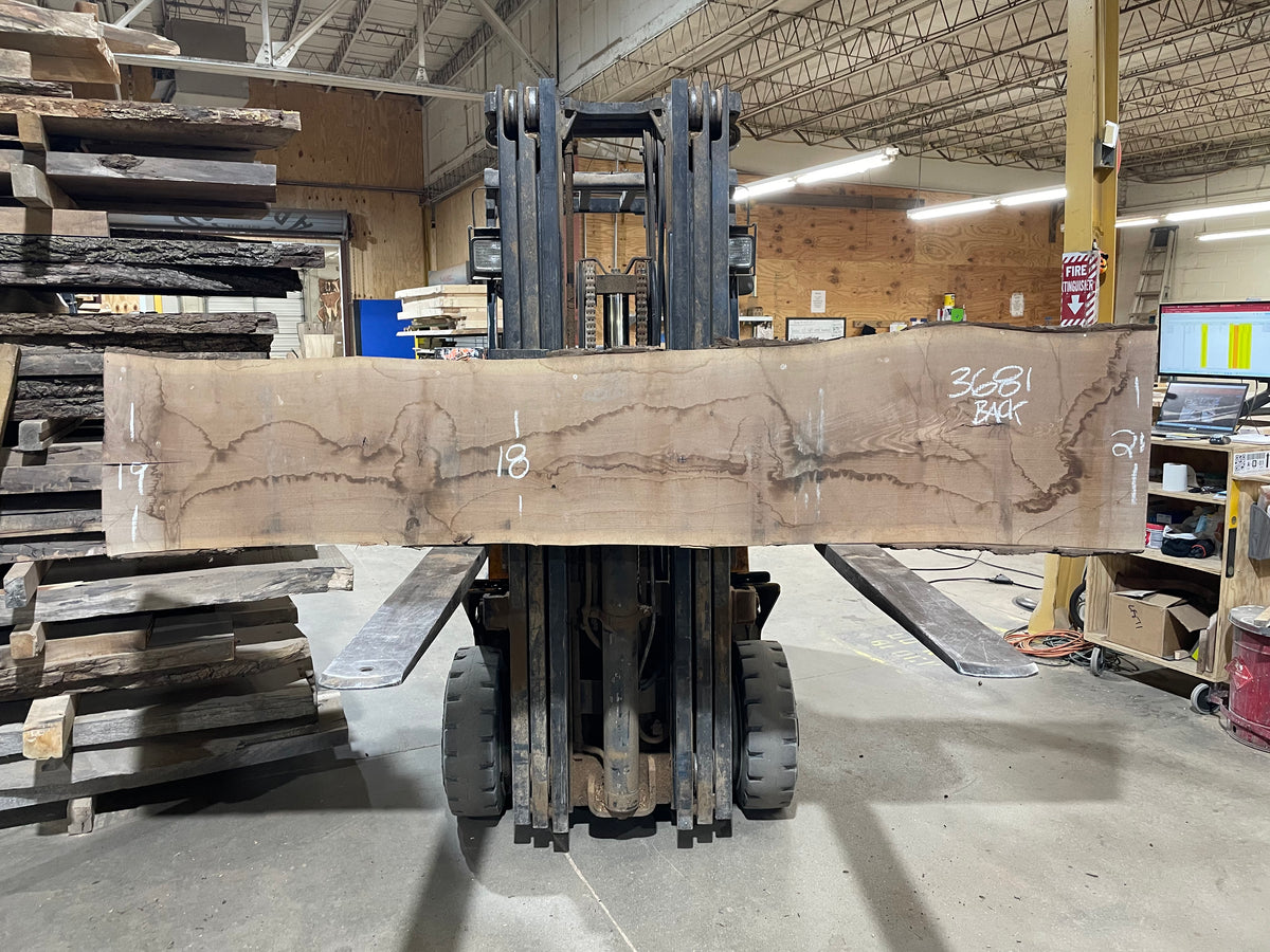 BLACK WALNUT (3681) 101” L x 15"-19” W x 2.25”