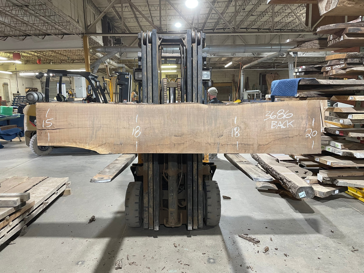 BLACK WALNUT (3686) 105” L x 14"-19” W x 2.5”