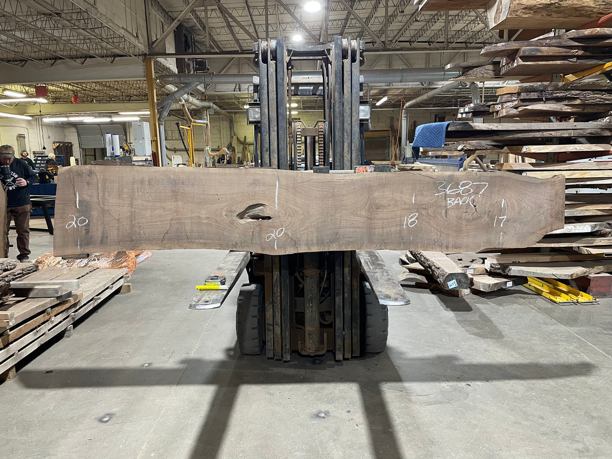 BLACK WALNUT (3687) 116” L x 14&quot;-16” W x 3”