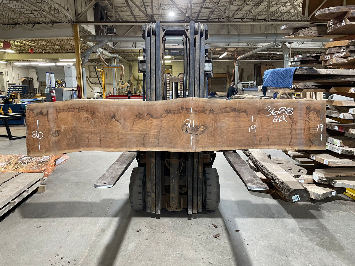 BLACK WALNUT (3688) 115” L x 14"-18” W x 3”