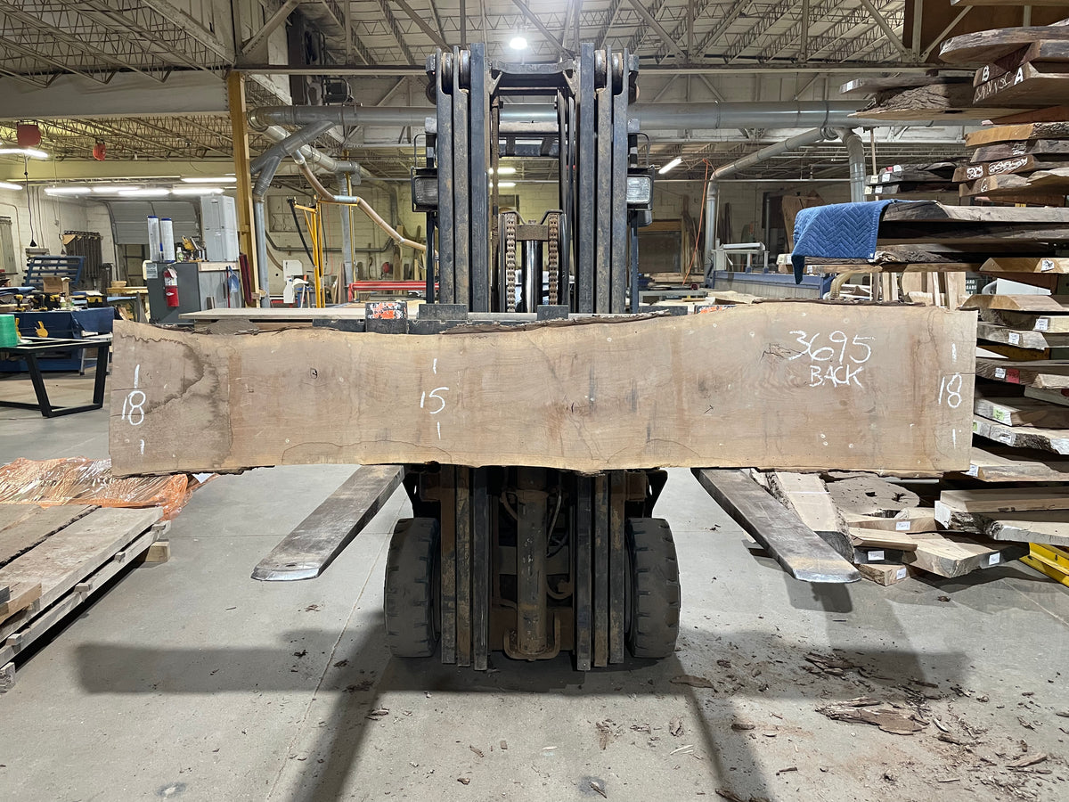 BLACK WALNUT (3695) 101” L x 9"-15” W x 3”