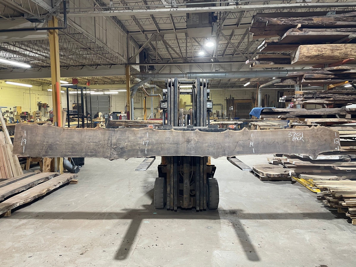 BLACK WALNUT (3701) 189” L x 11&quot;-17” W x 2.5”