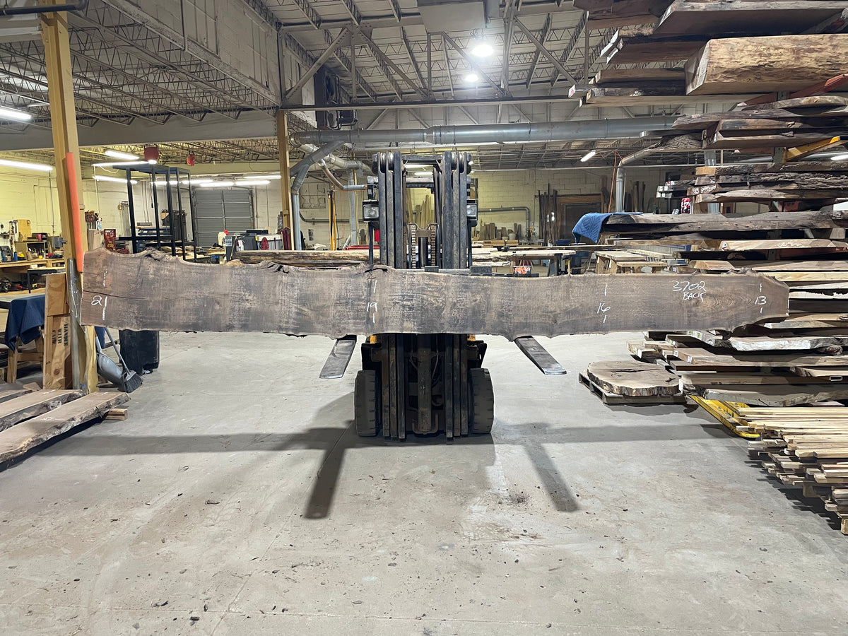 BLACK WALNUT (3702) 189” L x 13&quot;-19” W x 2.5”