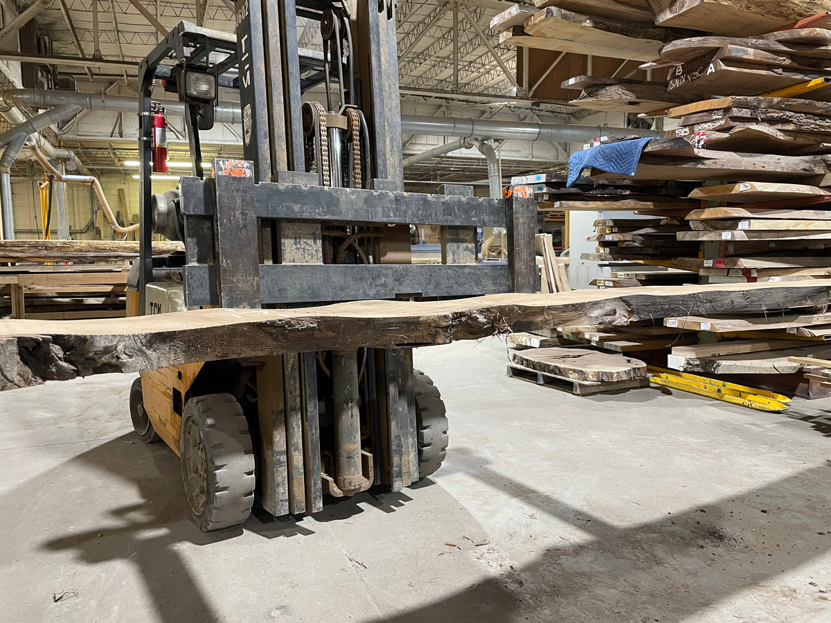 BLACK WALNUT (3702) 189” L x 13&quot;-19” W x 2.5”