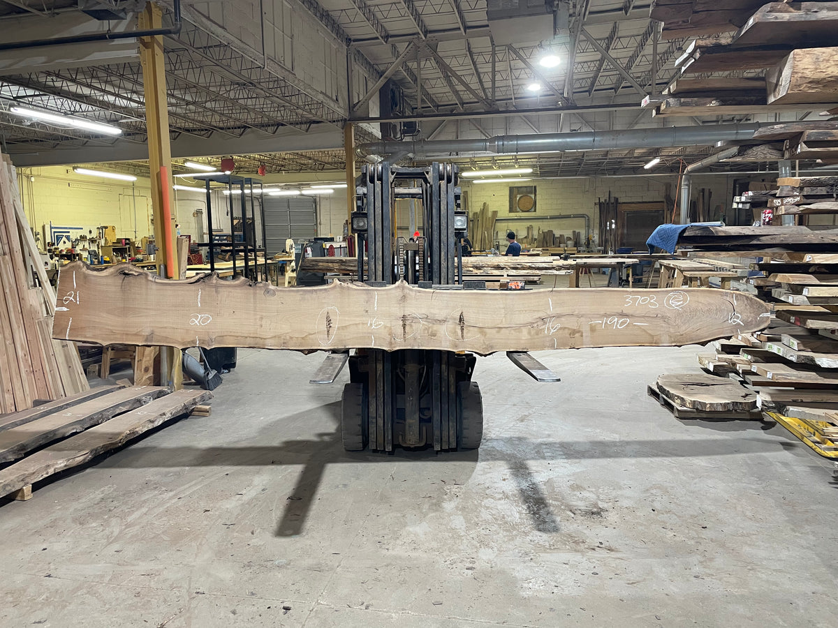 BLACK WALNUT (3703) 190” L x 12&quot;-21” W x 2.5”