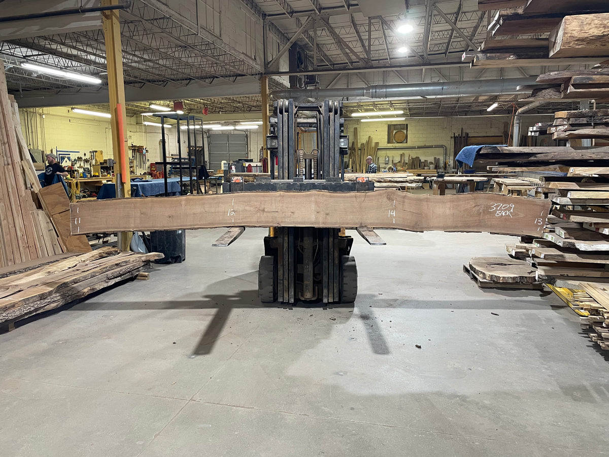 BLACK WALNUT (3709) 181” L x 9"-15” W x 2.5”