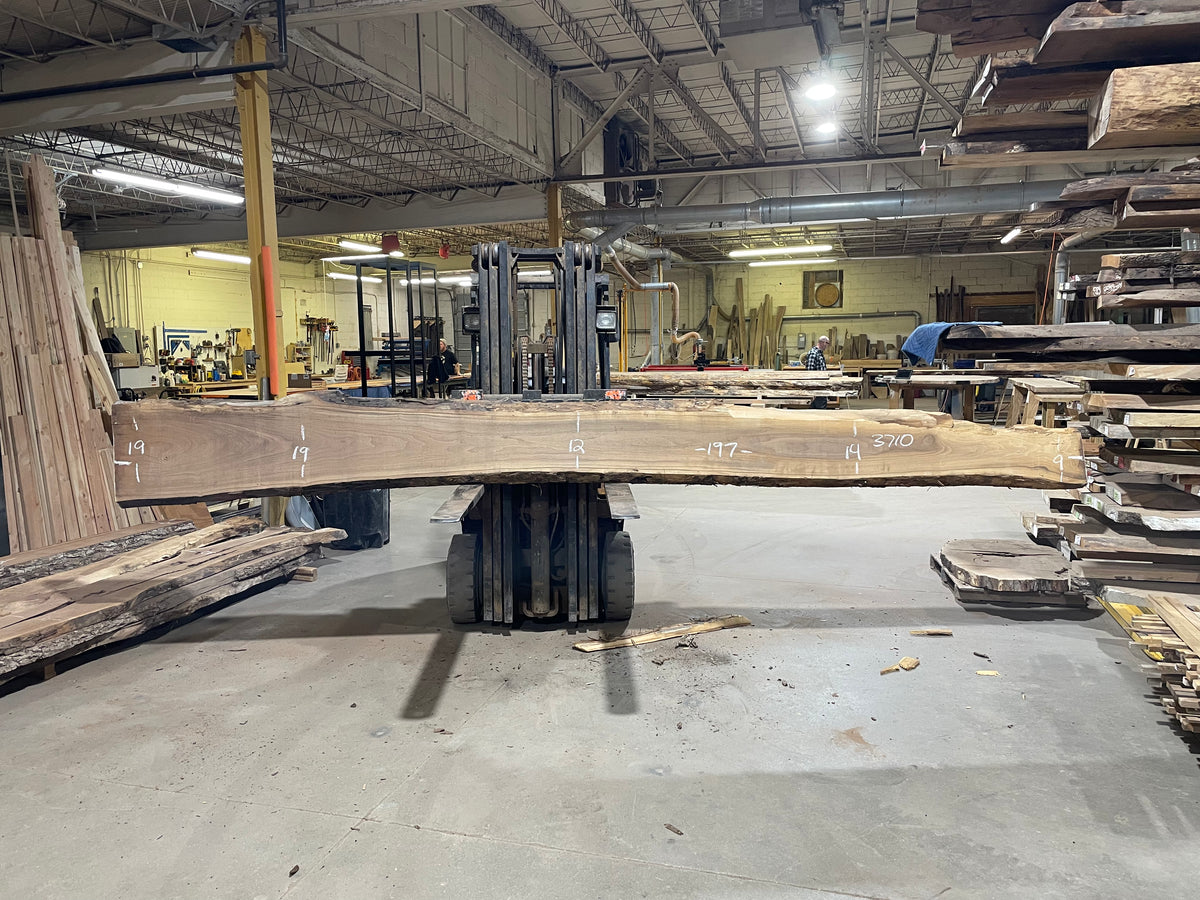 BLACK WALNUT (3710) 197” L x 9"-19” W x 2.5”