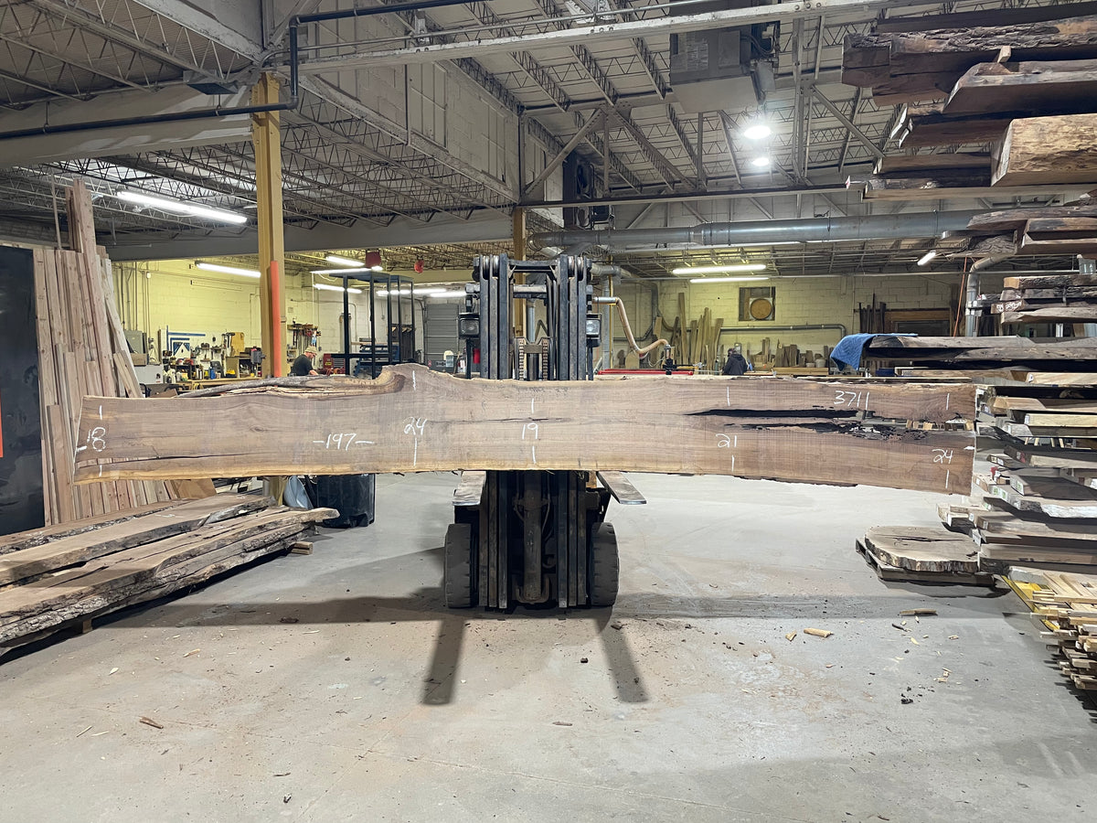 BLACK WALNUT (3711) 197” L x 18&quot;-24” W x 2.5”